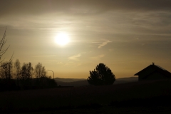 DSC01781