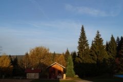 DSC01782